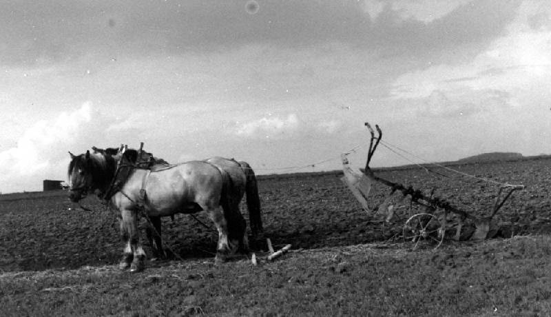 50er Jahre Bild Nr.214